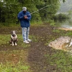 Meet your Posher, Odell